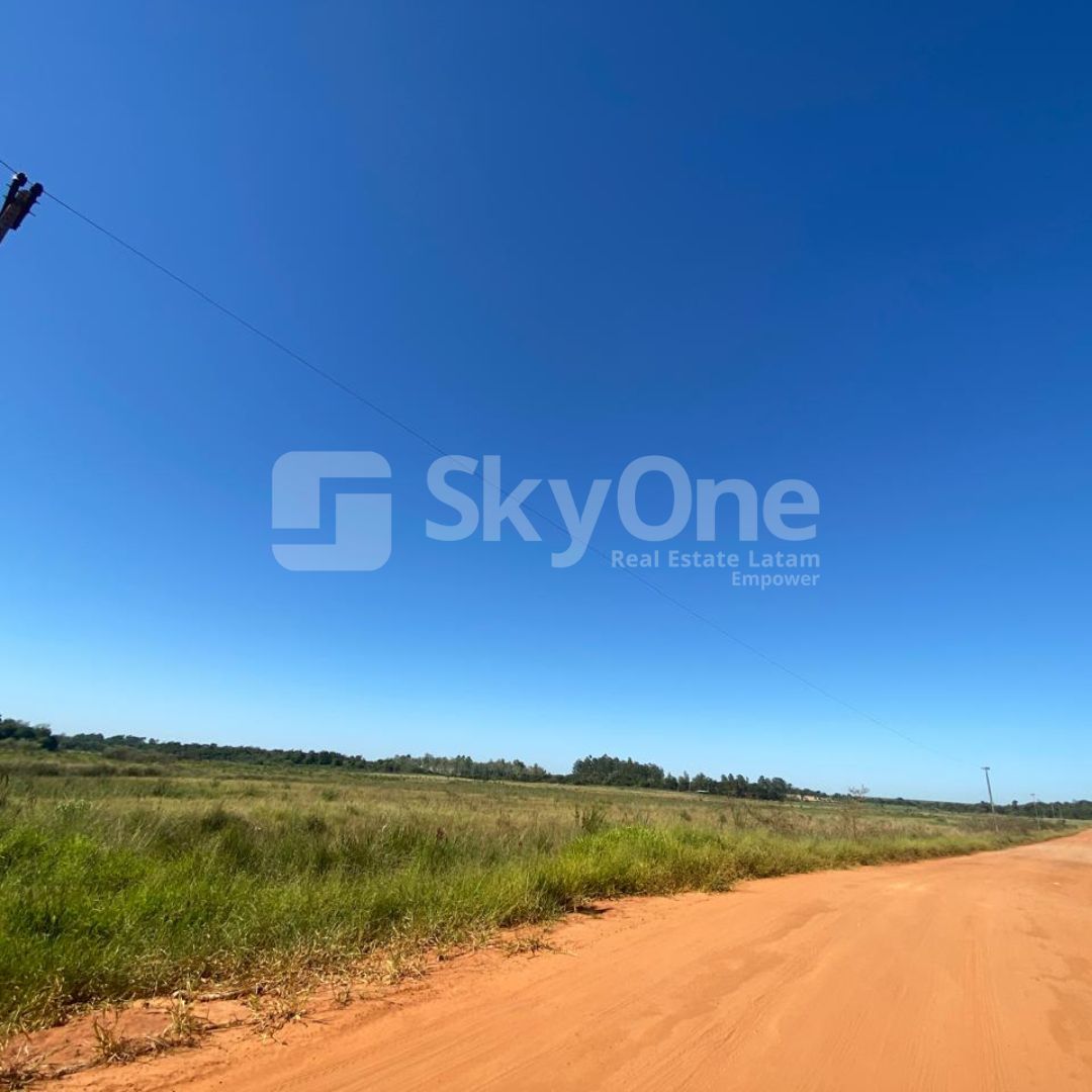 OPORTUNIDAD CAMPO DE 32HA EN TAVAPY — foto 3