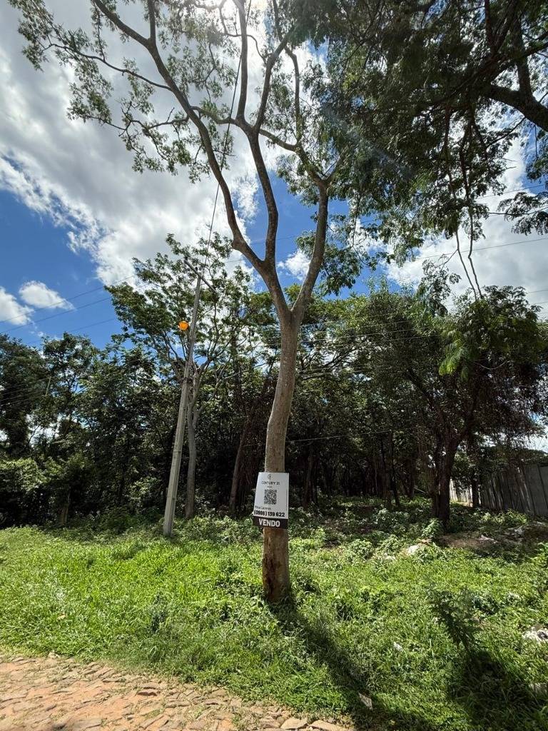 VENDO TERRENO EN SAN BERNARDINO — foto 2