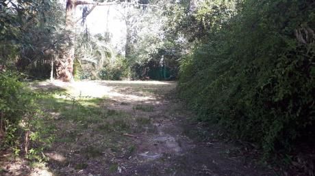Terreno En Venta Atlantida