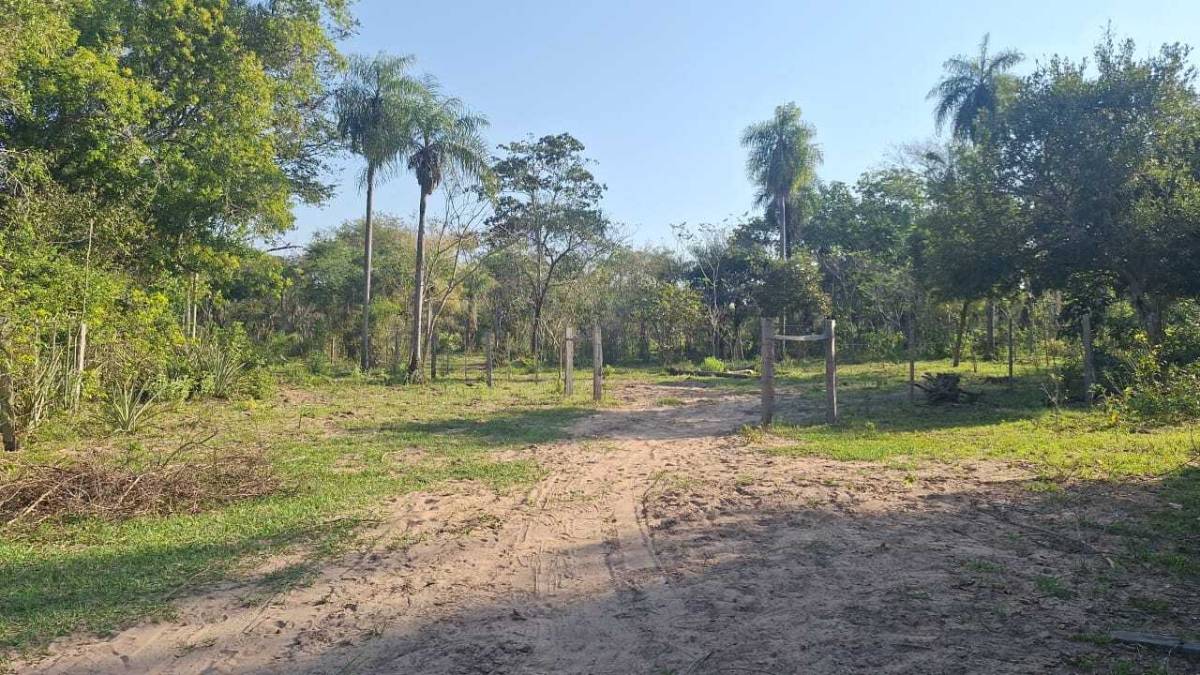 VENTA - Terreno 12 ha arbolado con vistas - Nueva Colombia, Cordillera — foto 3