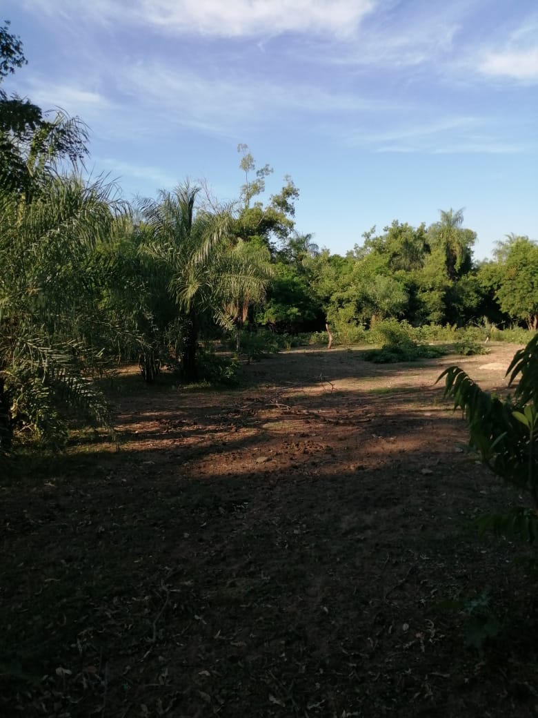 Vendo Hermosa Vivienda, Casa Quinta Estilo Campo En Loma Grande Cordillera — foto 3