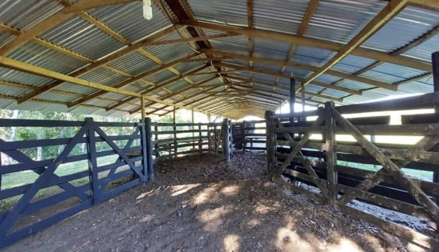 VENTA - Estancia 50 ha operativa con residencia de lujo - Puerto Trinidad, Itapú — foto 3