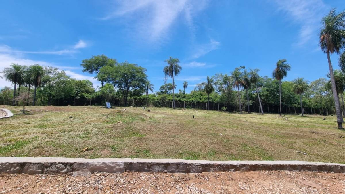 VENDO DOS TERRENOS EN ALTOS BARRIO ALTA PIETRA — foto 3