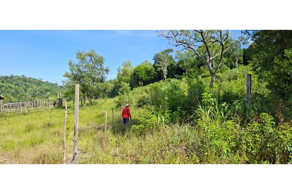 Venta de  CAMPO Agrícola en TAVARANGUE, JESÚS, ITAPÚA — foto 3