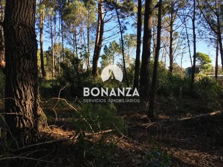 Terreno En Venta, Piriápolis, Punta Colorada