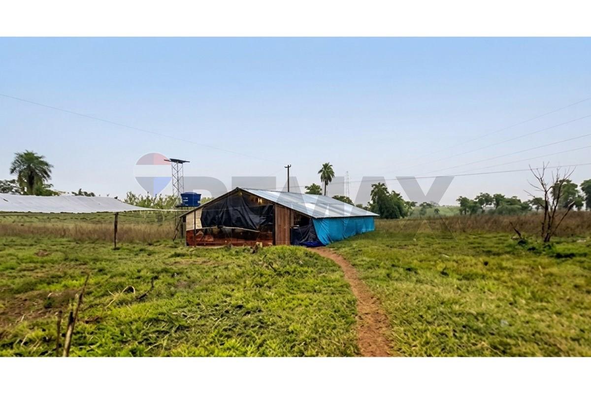 VENDO 4 HECTAREAS EN PIRAYÚ CON GRANJA AVICOLA — foto 2