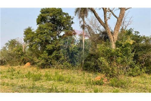 TERRENO EN VENTA, ALTOS — foto 2