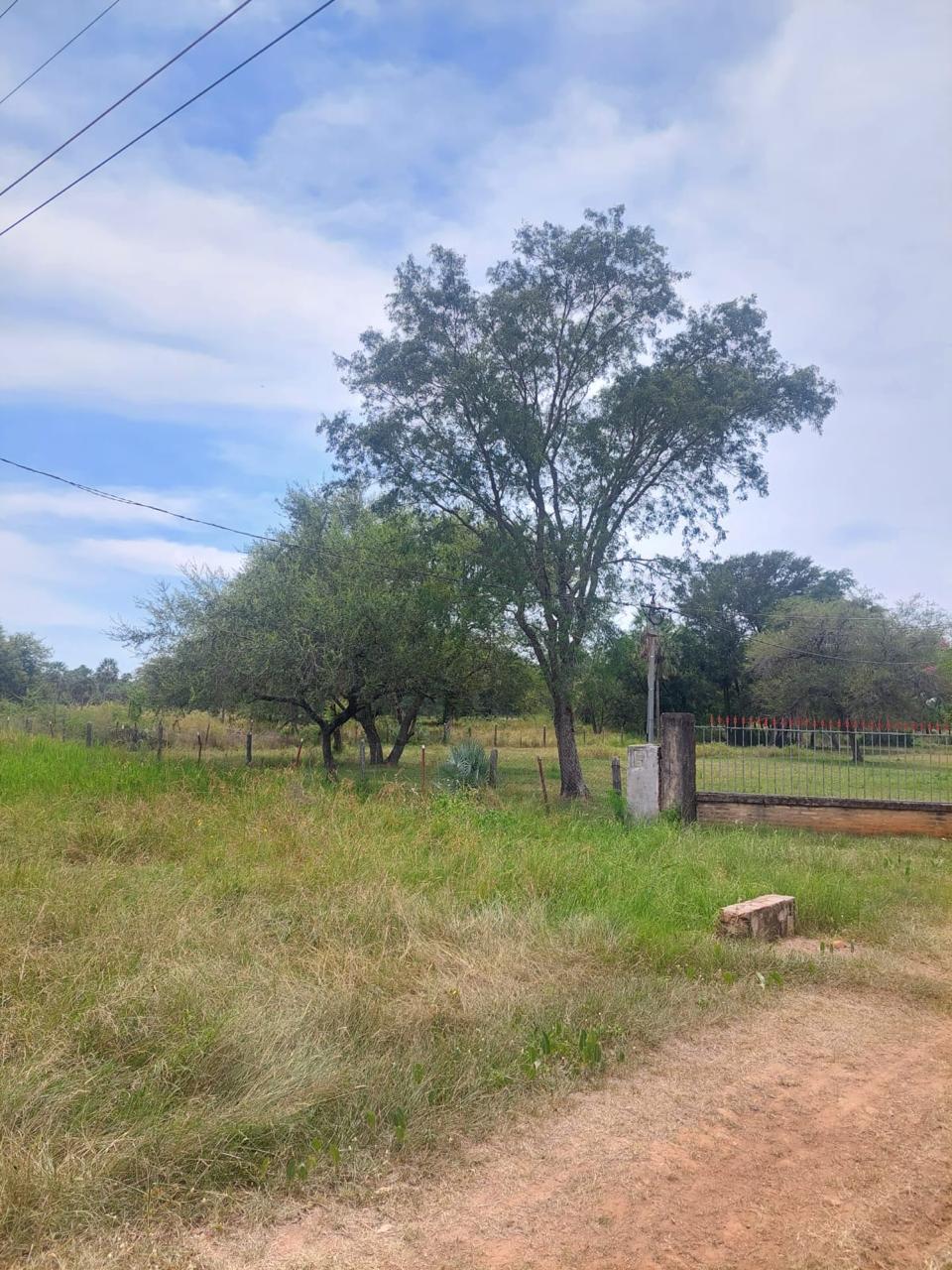 EN VENTA PROPIEDAD DE 41 HA!! ZONA VILLETA — foto 3