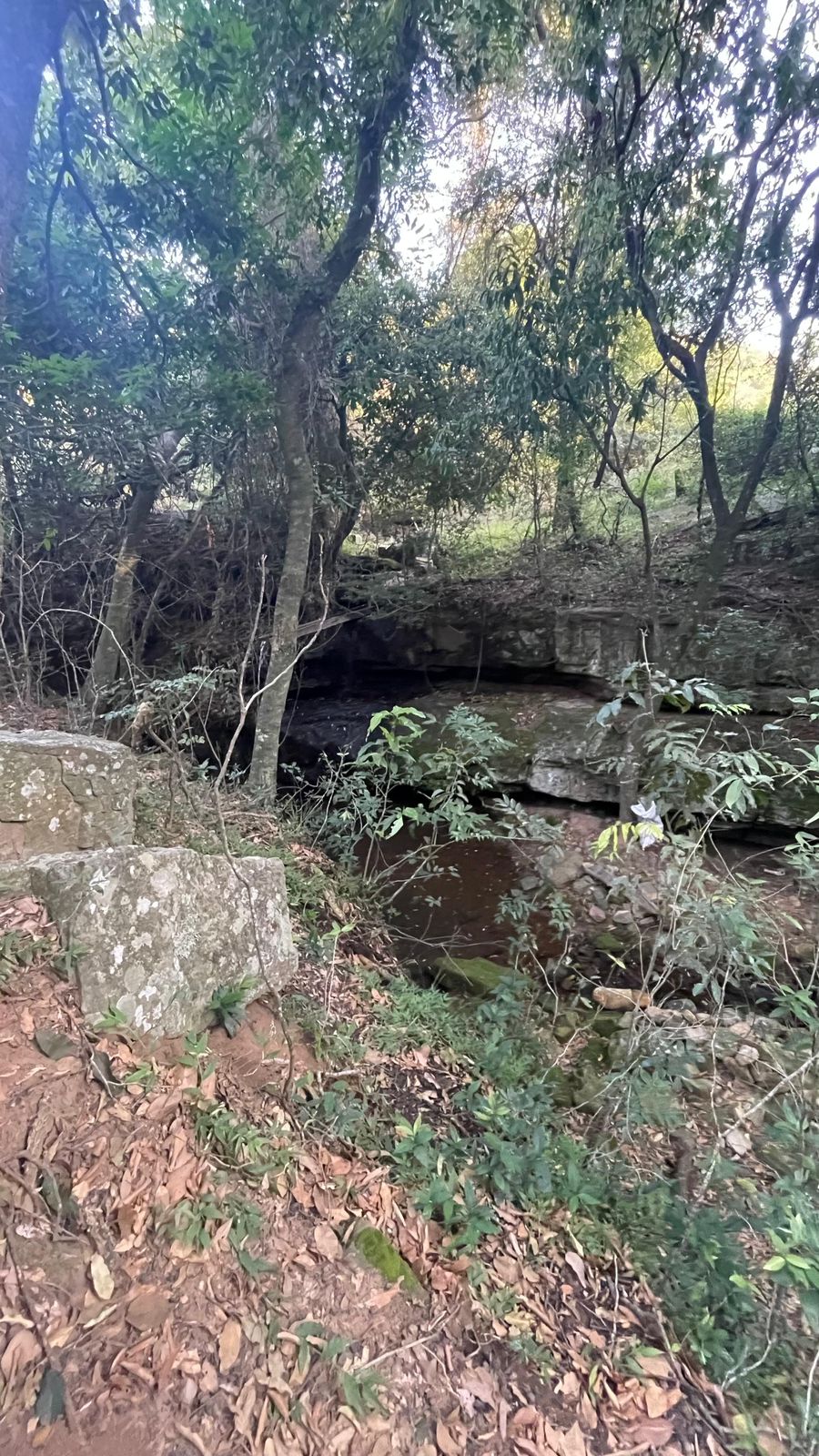 Vendo 20,3 hectáreas en Caacupe, Cordillera con naciente de agua y cerro — foto 3