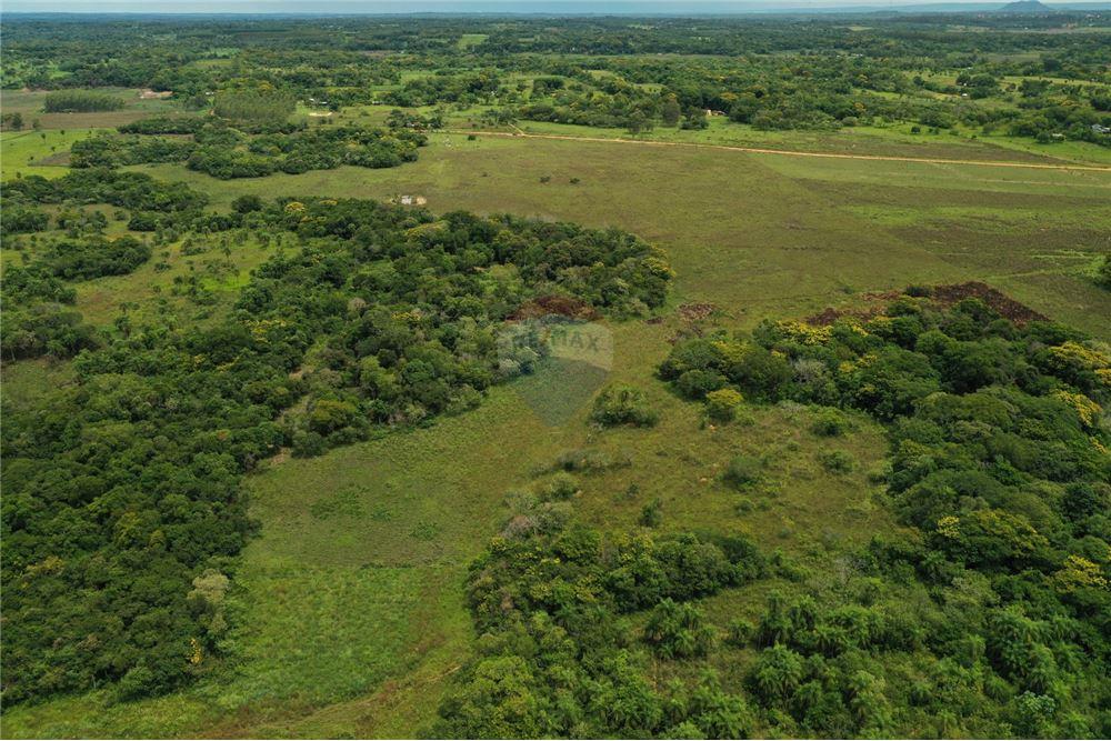VENDO CAMPO HERMOSO DE 18 HECTAREAS EN VILLARRICA — foto 2