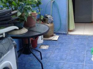 Planta Baja, Interior Con Ventanales A Patio De 3x2