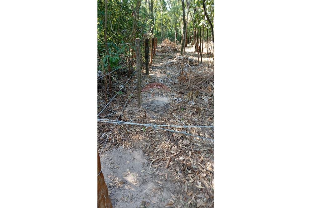 Terreno - Venta - San Bernardino, Paraguay — foto 2