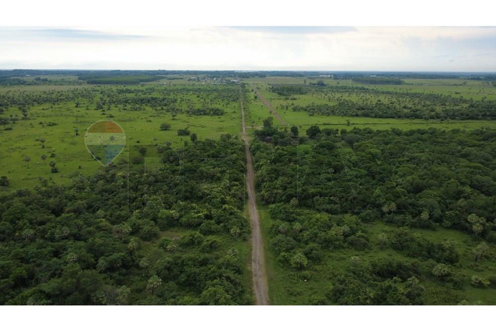 VENDO 29 HECTAREAS EN VILLA HAYES — foto 3
