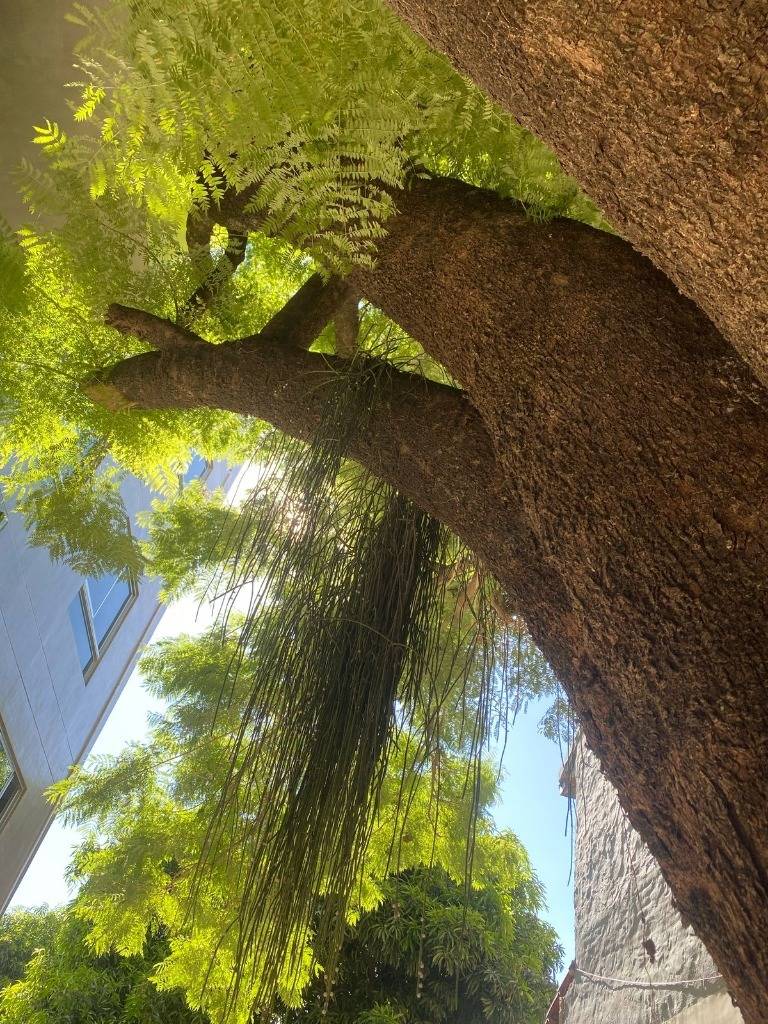 ALQUILO DEPARTAMENTO DE 3 DORMITORIOS A ESTRENAR - VILLA AURELIA — foto 3