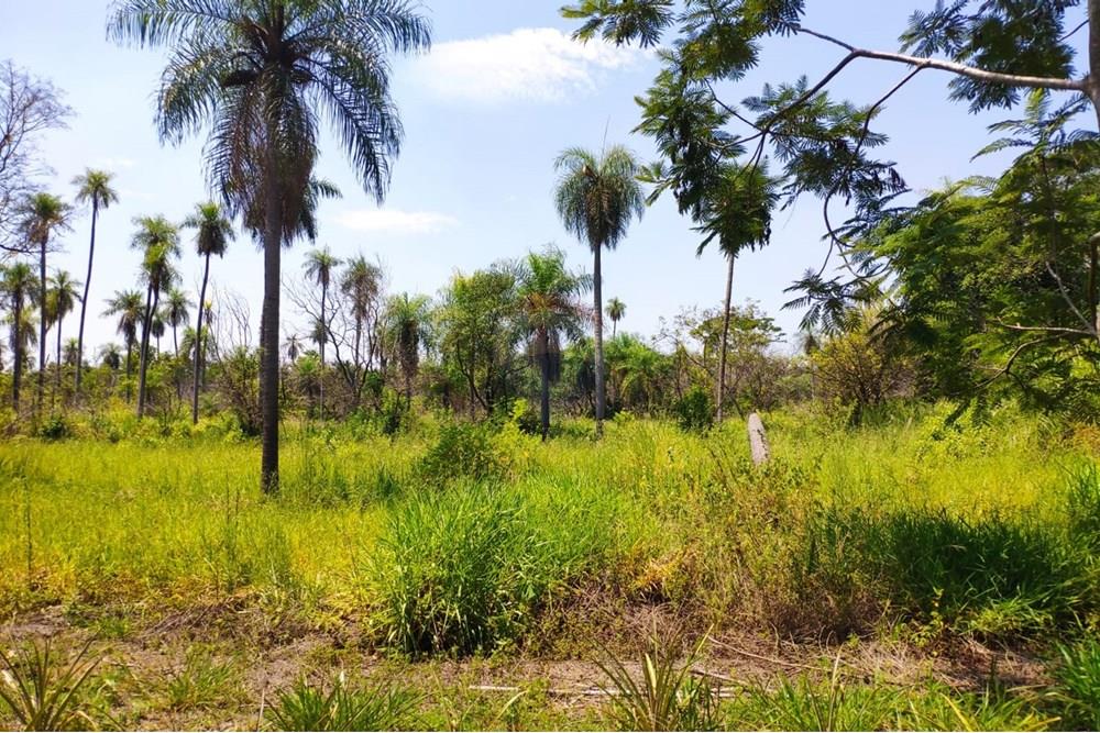Ofertisimaaa terreno en Altos Coordillera — foto 2