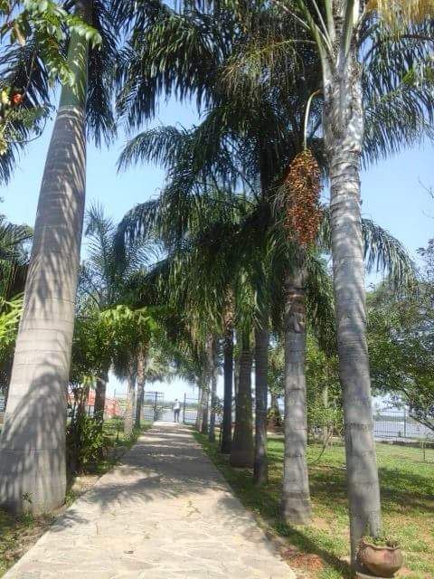 HERMOSA CASA QUINTA EN VENTA EN VILLA HAYES! — foto 3