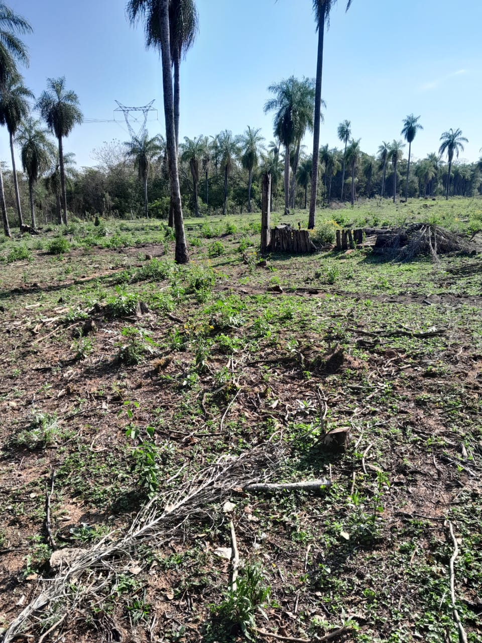 Vendo propiedad de 2 hectáreas en Atyra Ideal para granja — foto 2