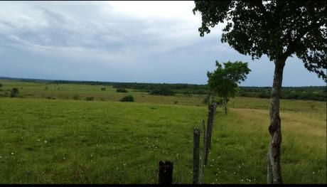 Campo De 3272 Hectareas En Pedro Juan Caballero