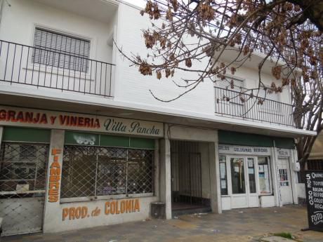 Apartamentos En Buceo