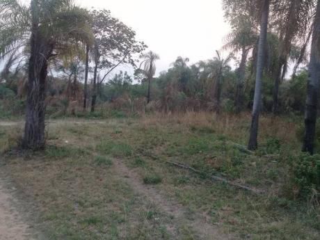 Vendo Terreno En San bernardino