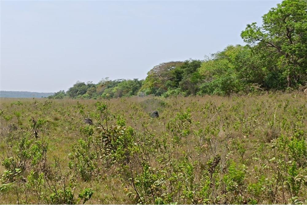 CAMPO 166,5 HECTÁREAS - SAN PEDRO DEL YCUAMANDIYU — foto 3