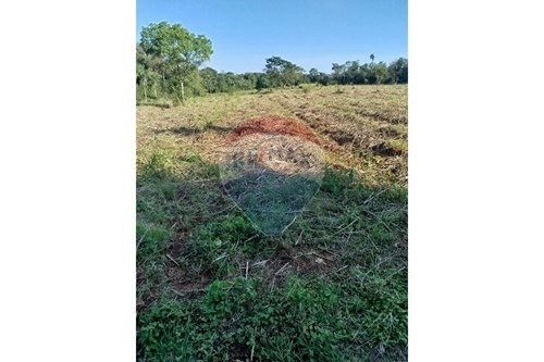 Estancia/Campo-Venta-PY Central Guarambaré — foto 3