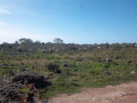 Terreno En Ruta 101 Km 25.500