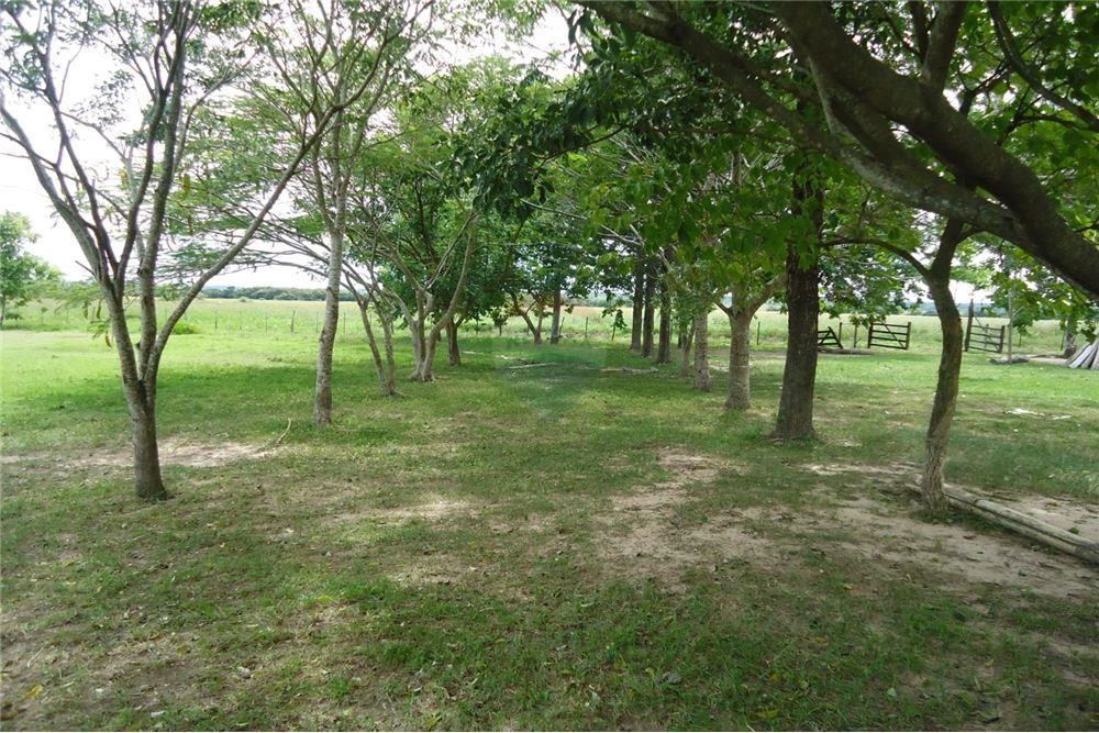 VENDO ESTANCIA FORMADA DE 77 HA EN SAN PEDRO! — foto 3