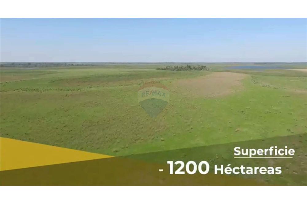 VENDO 1.200 HECTÁREAS EN ÑEEMBUCÚ — foto 2