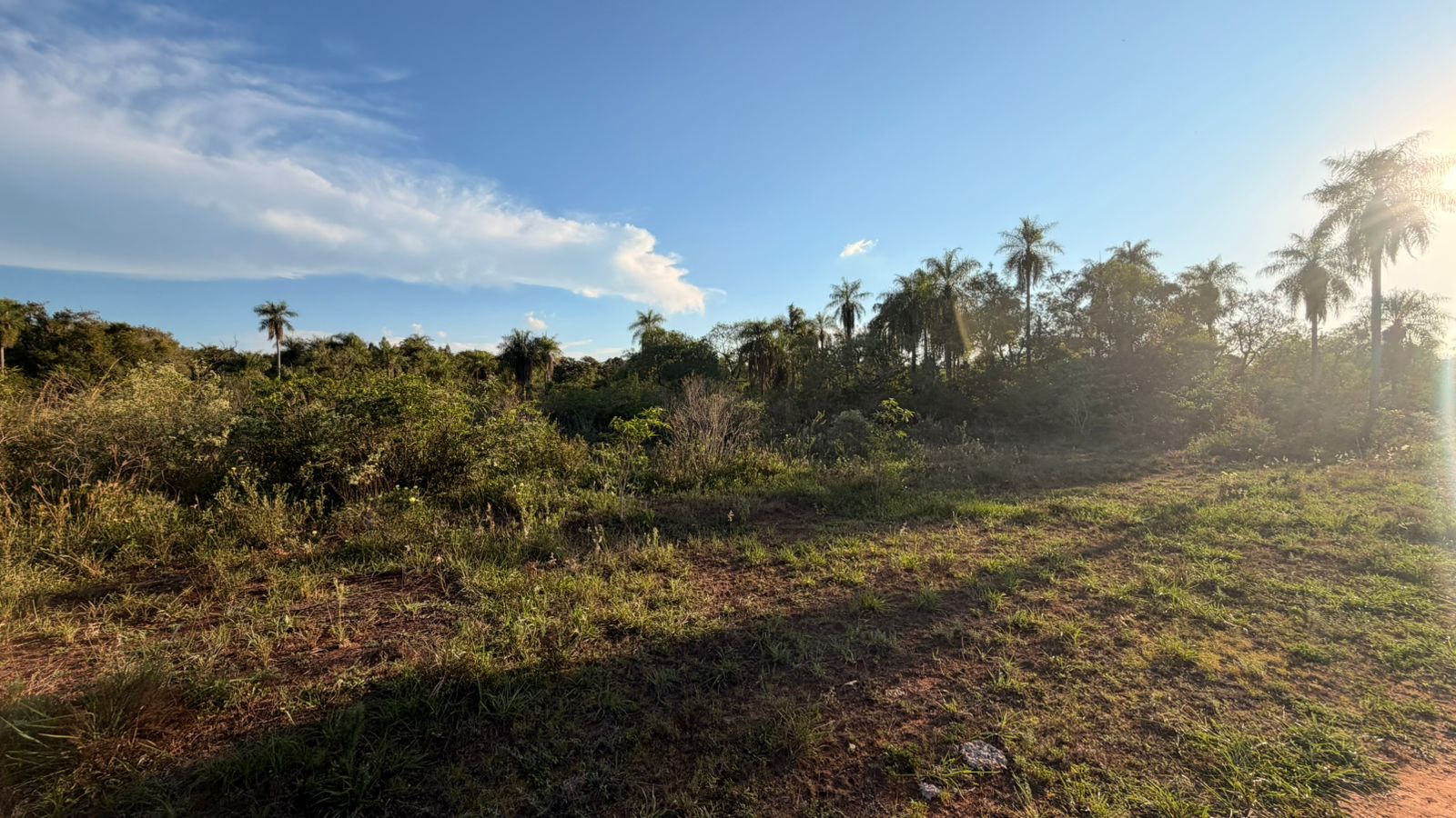 TERRENO EN OFERTA - PIRIBEBUY — foto 3
