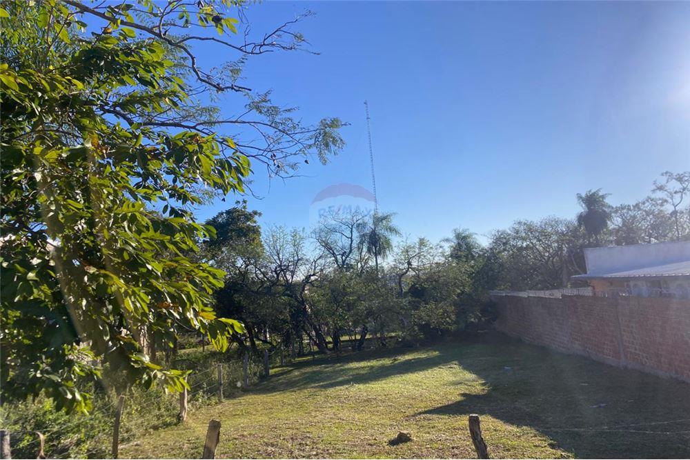 AMPLIO TERRENO EN SAN BERNARDINO ZONA CIERVO CUA — foto 3