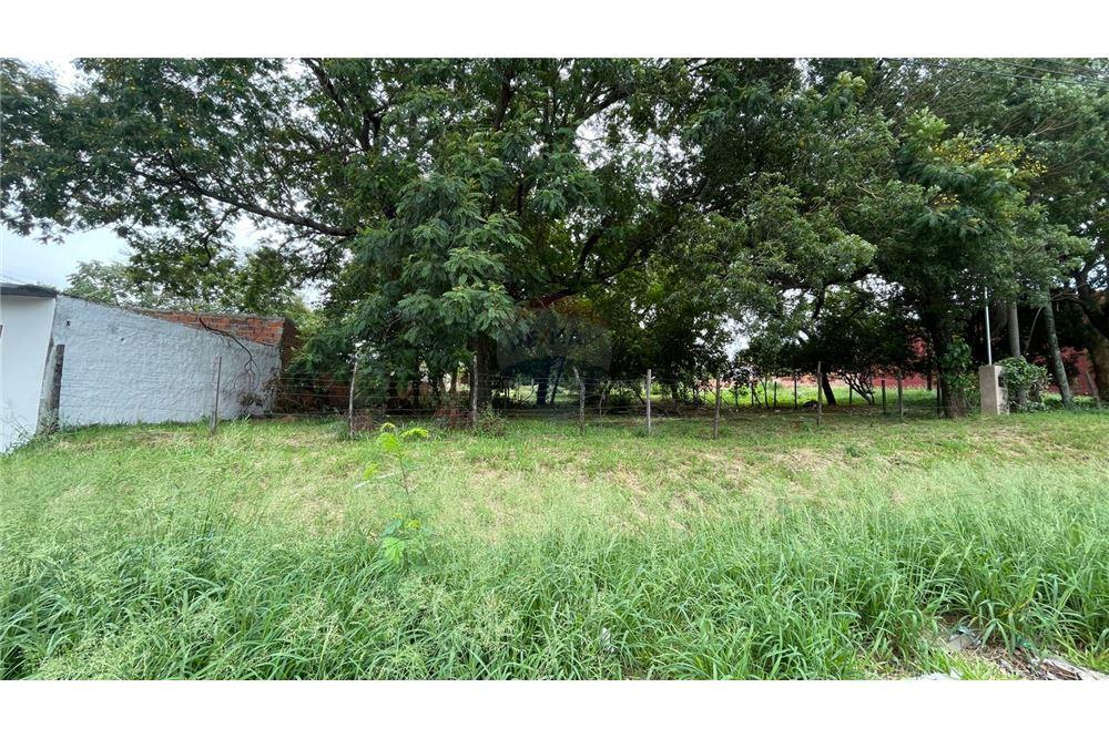 ALQUILO IMPONENTE TERRENO DE 2.520 m2 en LAMBARÉ — foto 2