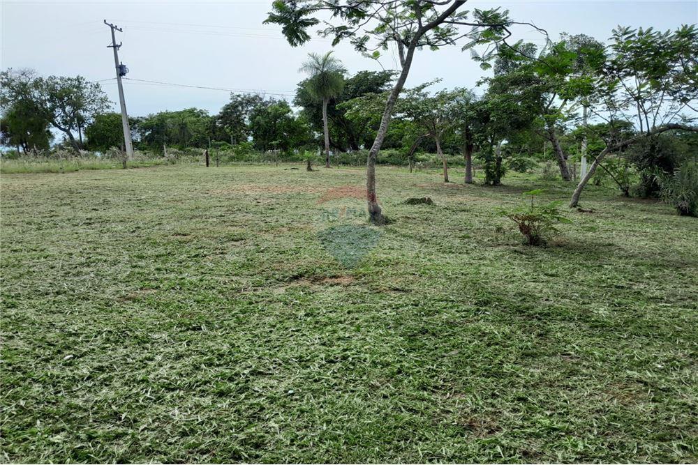 VENDO TERRENO EN PIRIBEBUY — foto 2
