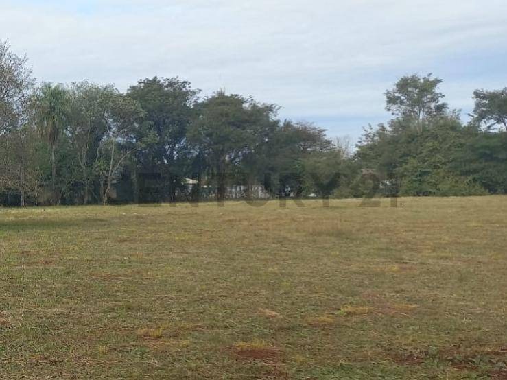 VENDO ESPECTACULAR PROPIEDA EN ENCARNACION — foto 2