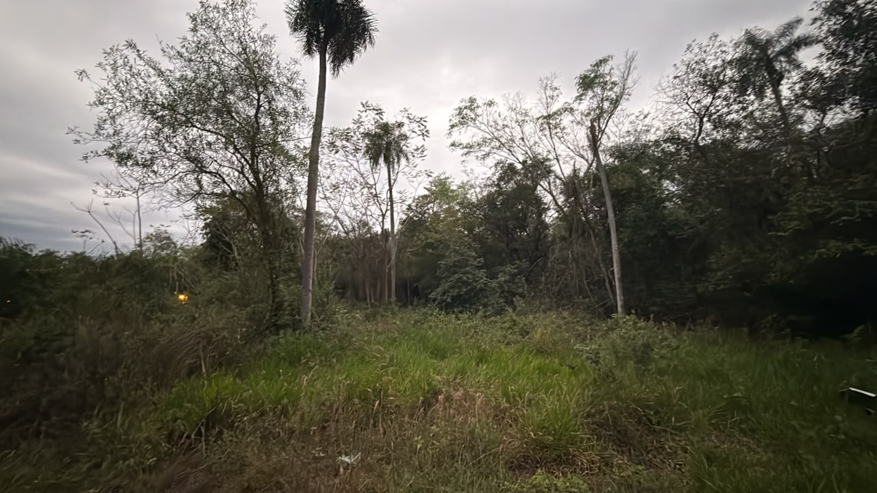 TERRENO EN VENTA | SAN BERNARDINO – CIERVO CUÁ — foto 3
