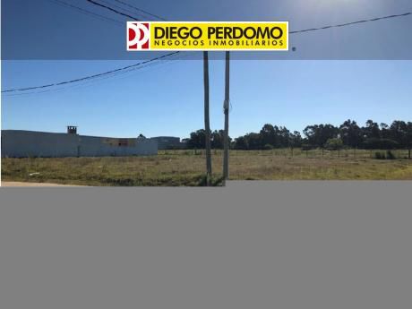 Terrenos En Venta,431m², Ciudad De Libertad
