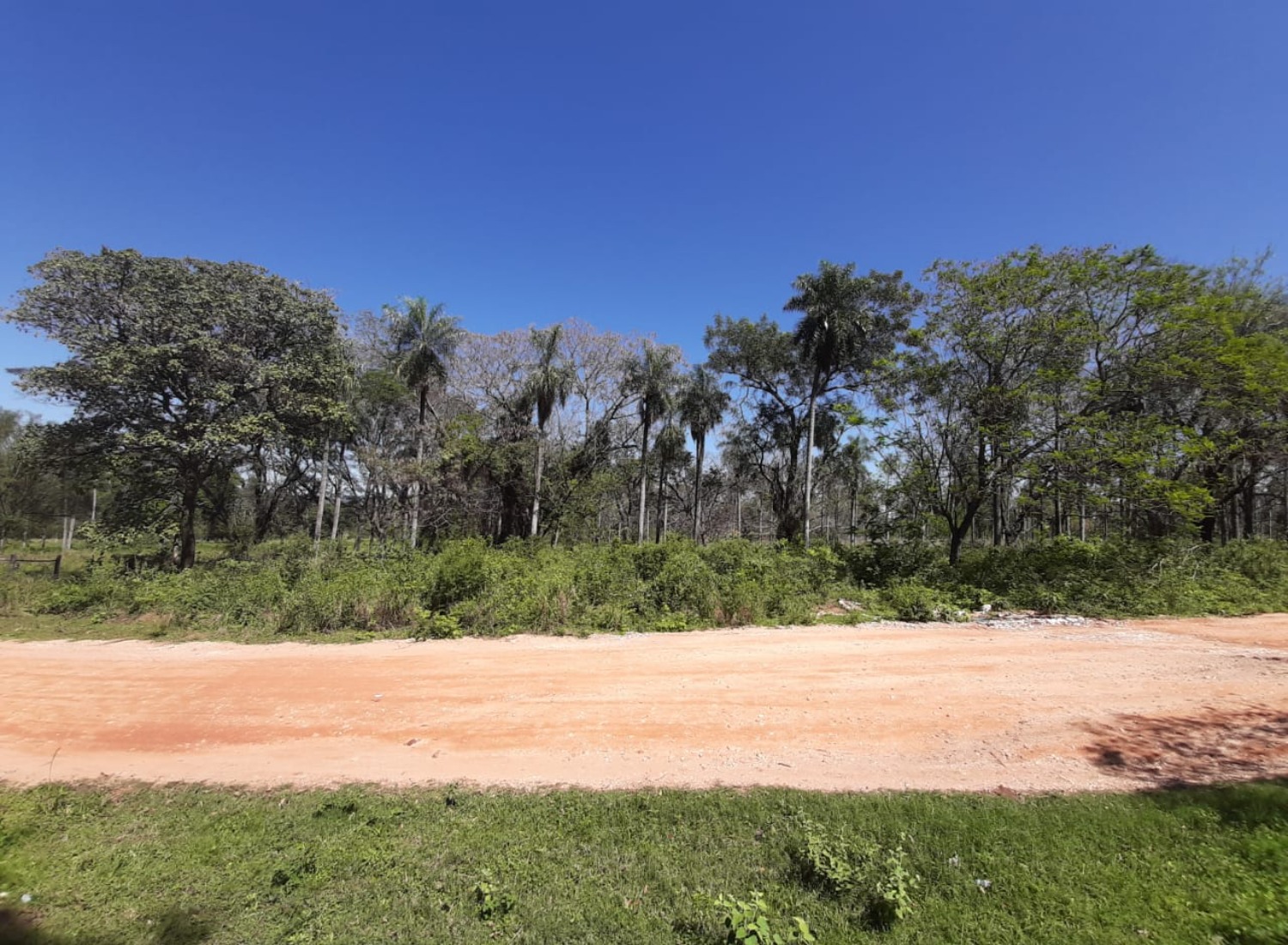 Zona Anfiteatro, vendo amplio terreno en Sanber - foto 1
