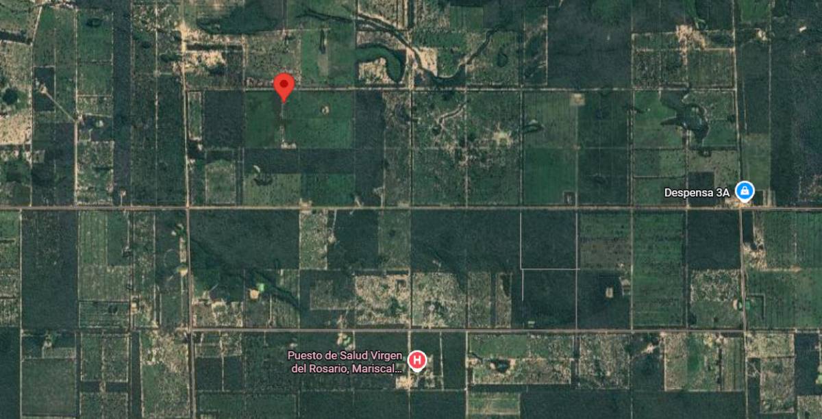 VENTA - Campo desarrollado 52 ha con pastura y mejoras - Neuland, Boquerón — foto 2