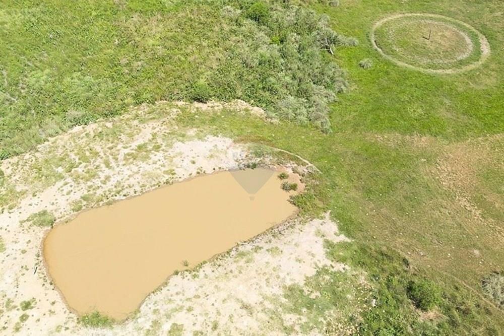 VENDO GRANJA FORMADA EN ISLA PUCU 101 HECTAREAS — foto 3