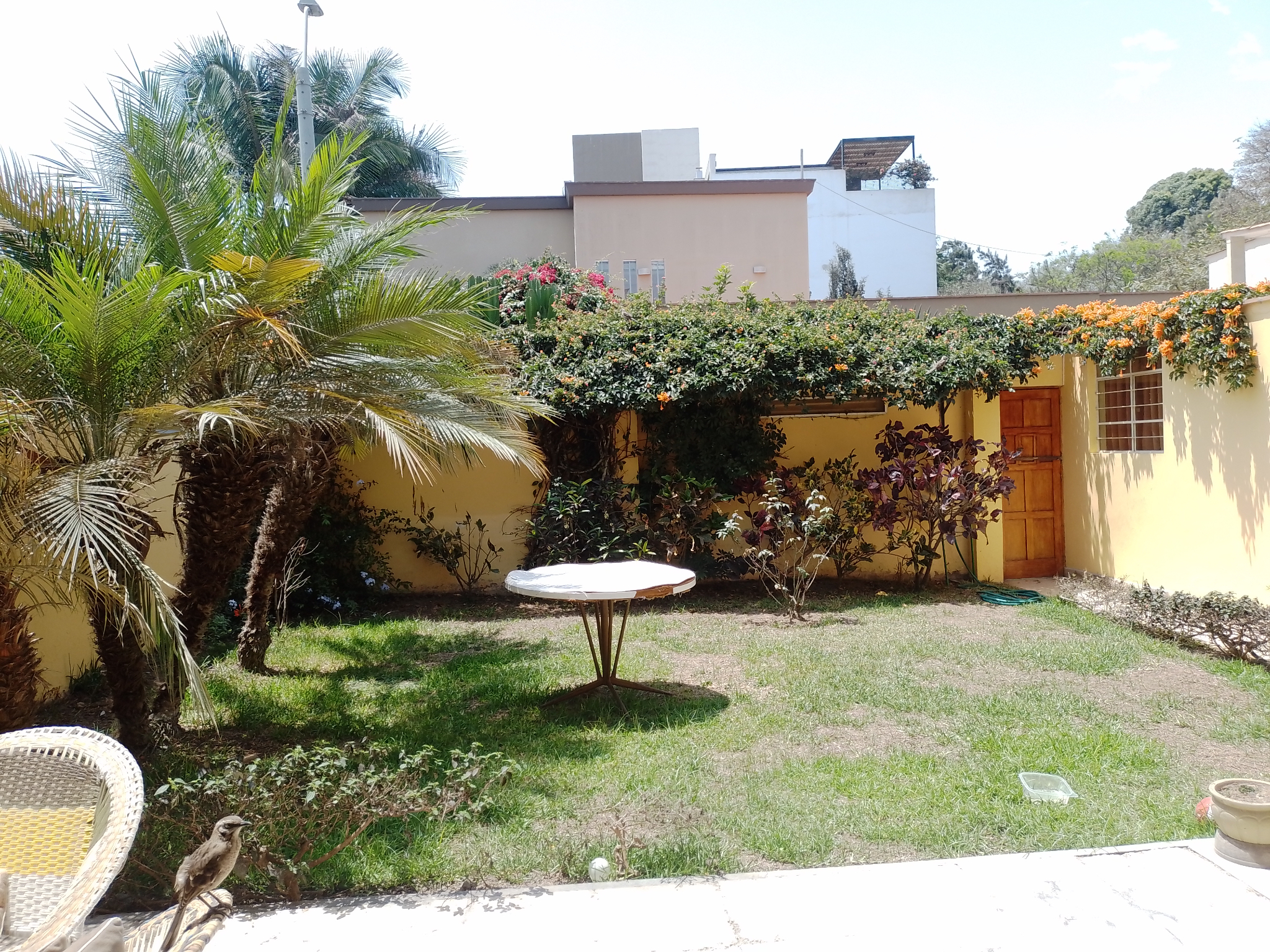 Imagen 9 de Casa