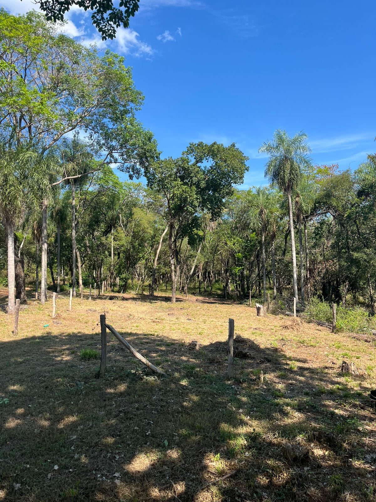Vendo Terreno en Esquina de 360 m2, San Bernardino - LLA6384295 — foto 2
