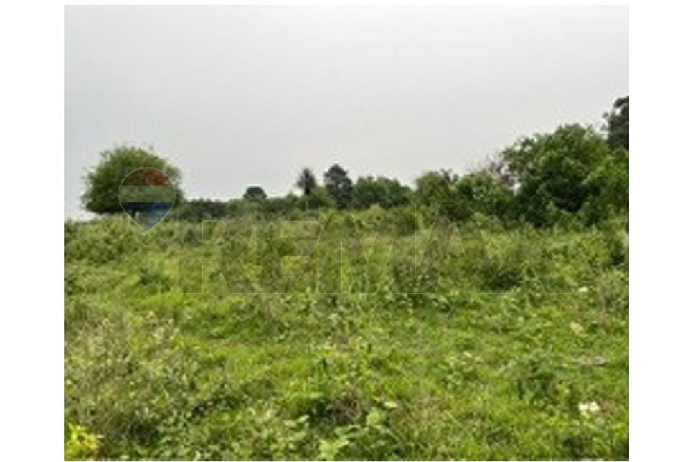 VENDO TERRENO EN ALTO VERA - ITAPUA — foto 2