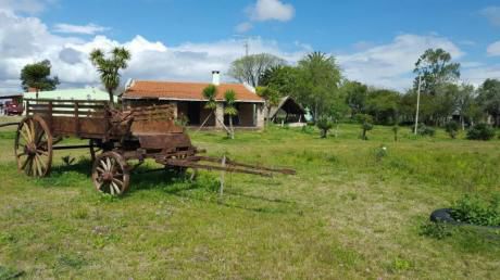 Id 10738 - Excelente Chacra En San Ramon / Ruta 12 Km: 94