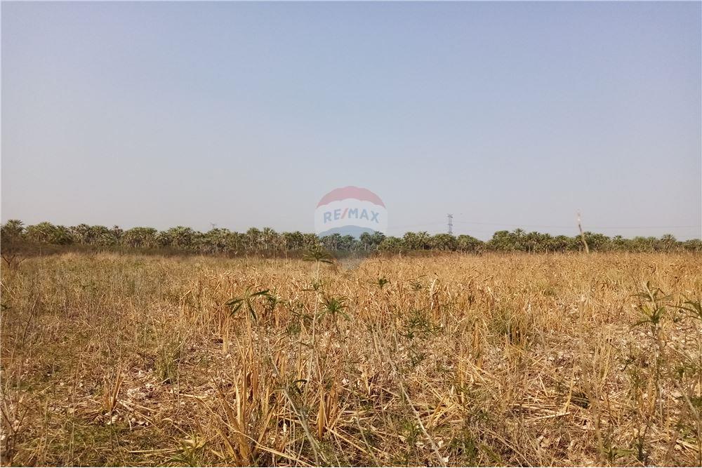 Estancia/Campo - Venta - Villa Hayes, Paraguay — foto 2