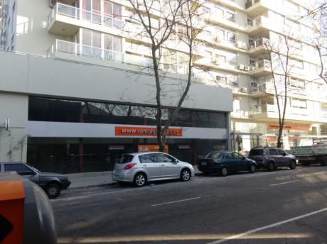 Local Comercial Estrellas Del Sur : 100, 160 Y 260 Mtrs. Ejido Y Gzalo Ramirez