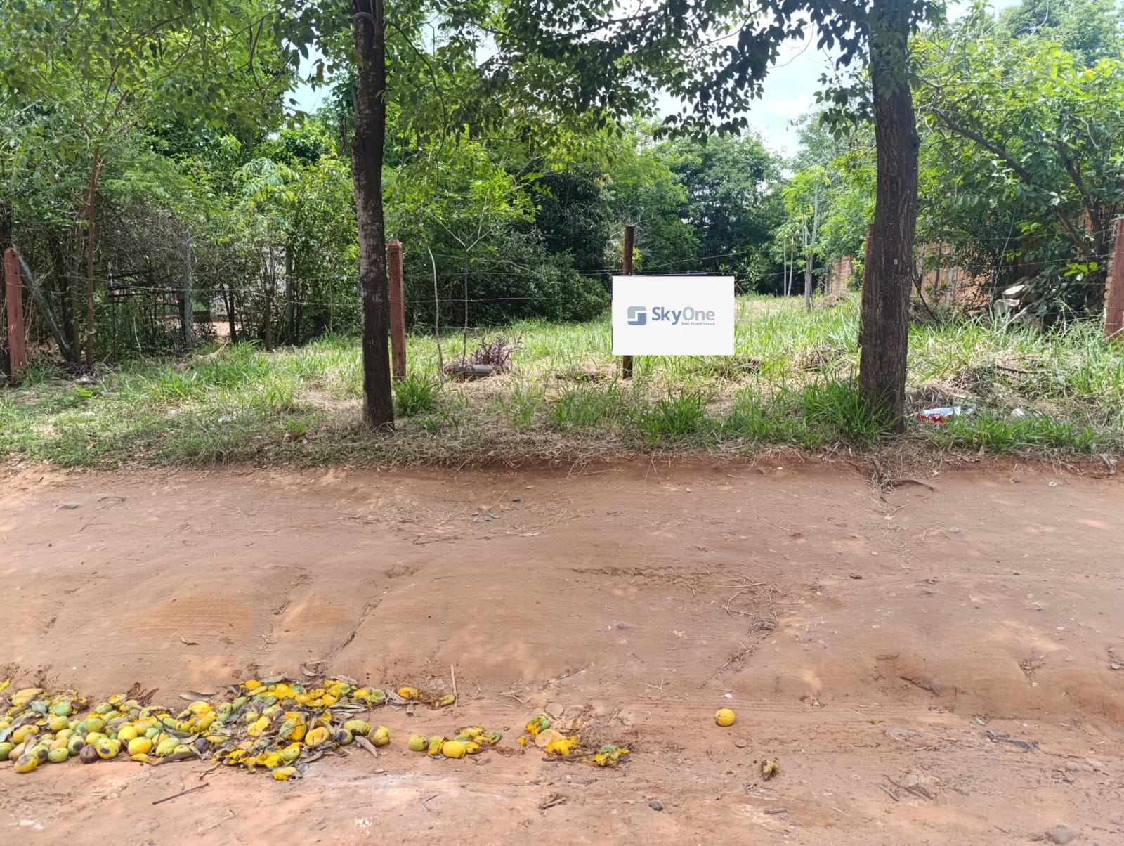 VENDO AMPLIO TERRENO EN MARIANO ROQUE ALONSO — foto 3