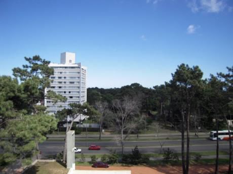 Departamento En Alquiler A Pasos De Avenida Roosevelt.