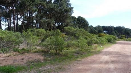 Lindo Terreno Esquinero En Chihuahua