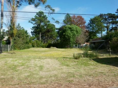 Terreno En Venta En Cantegril