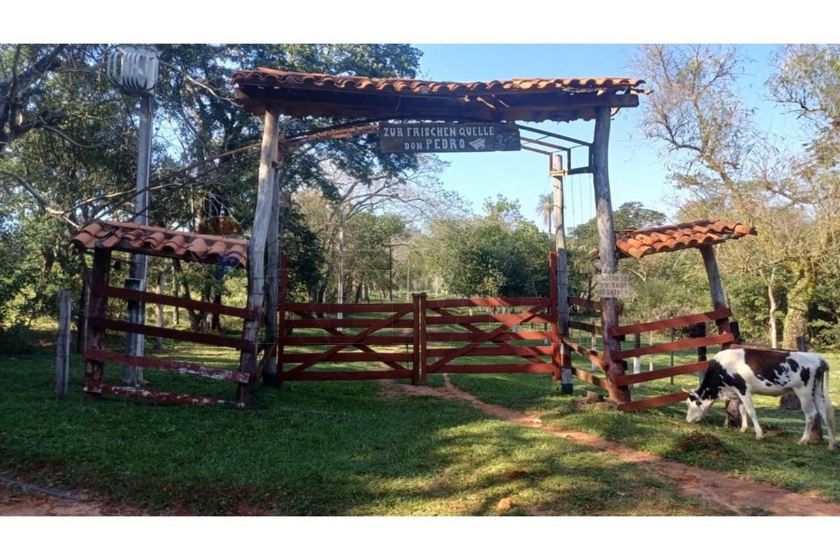 VENDO CAMPO EN CAACUPE 69 HECTAREAS — foto 2